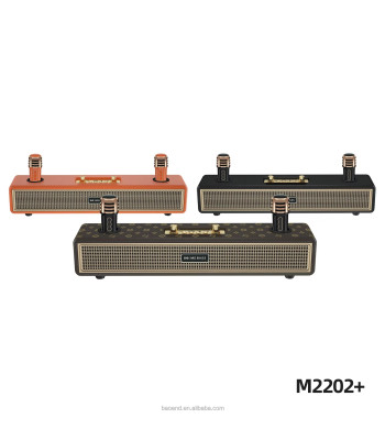 Belaidė - karaokė kolonėlė su dviem mikrofonais BOOMS BASS M2202+