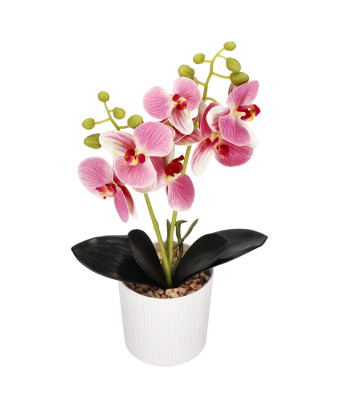 Dirbtinė orchidėja Springos HA7424