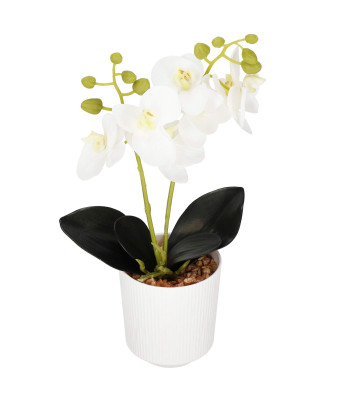 Dirbtinė orchidėja Springos HA7423