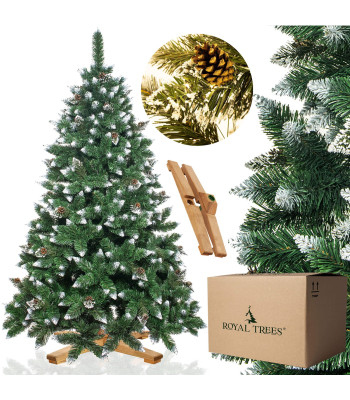 CT0192 Dirbtinė Kalėdų eglutė 240 cm Premium Royal Trees Snowy Deimantinė pušis su kūgiais