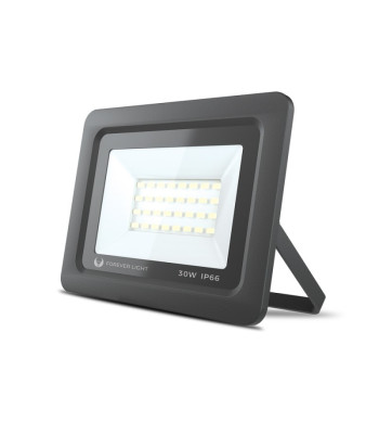 Prožektorius LED PROXIM II 30W |6000K| IP66 Forever Light