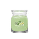 Yankee Candle Aromatinė žvakė Signature glass medium Vanilla Lime 368 g