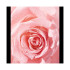 Nivea "Rose Touch" (vandeniui atsparus akių makiažo valiklis) 100 ml