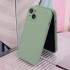 Mag Invisible dėklas for iPhone 13 Pro Max 6,7  pistachio