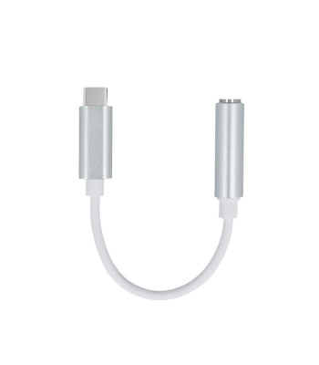 Adapteris USB-C- jack 3,5mm, Setty