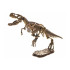 T-REX 3D skeleto kasimo rinkinys ZA1777 A